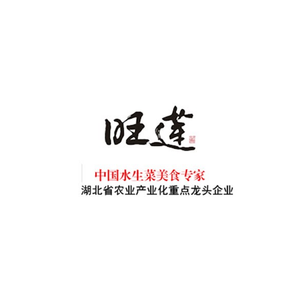 武漢世林福幸科技發(fā)展有限公司